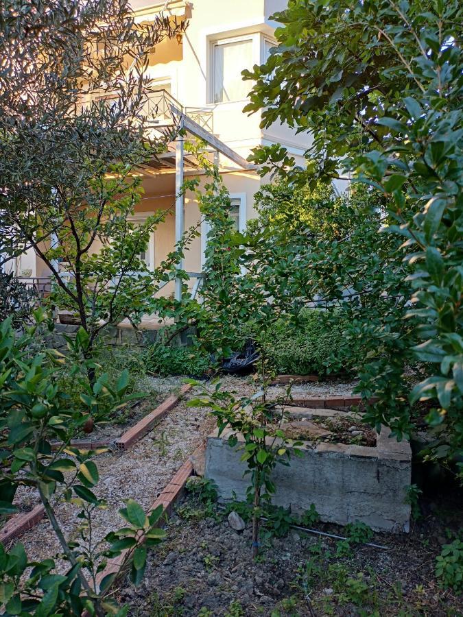 Filion Comfortable Country Apartment Levkákia Esterno foto